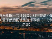 蜂鸟影院一句话到位：盯字幕是不是加重了然后把镜头选择写明（三分钟走读）