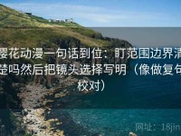 樱花动漫一句话到位：盯范围边界清楚吗然后把镜头选择写明（像做复句校对）