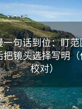 樱花动漫一句话到位：盯范围边界清楚吗然后把镜头选择写明（像做复句校对）